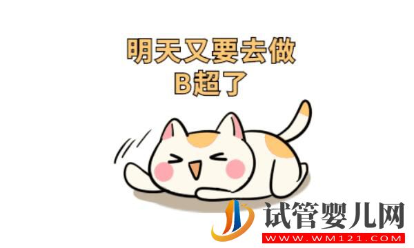 試管嬰兒月經(jīng)期要做b超嗎?(圖3) 試管嬰兒月經(jīng)期要做b超嗎?(圖3)