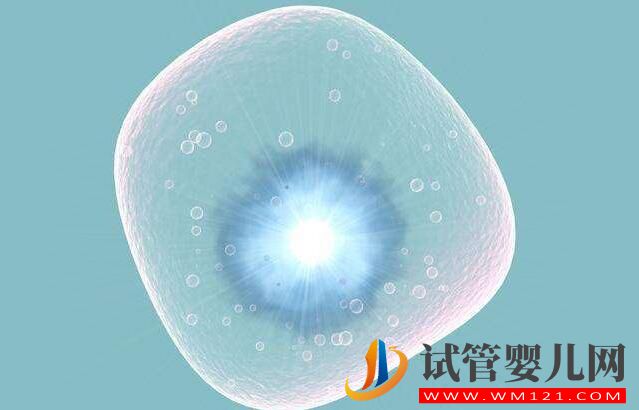 做試管嬰兒整個環(huán)節(jié)有哪些?(圖4) 做試管嬰兒整個環(huán)節(jié)有哪些?(圖4)