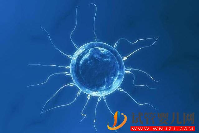 做試管嬰兒整個環(huán)節(jié)有哪些?(圖5) 做試管嬰兒整個環(huán)節(jié)有哪些?(圖5)