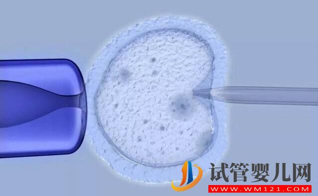 試管嬰兒IVF和人工授精I(xiàn)UI有什么區(qū)別和不同(圖4)