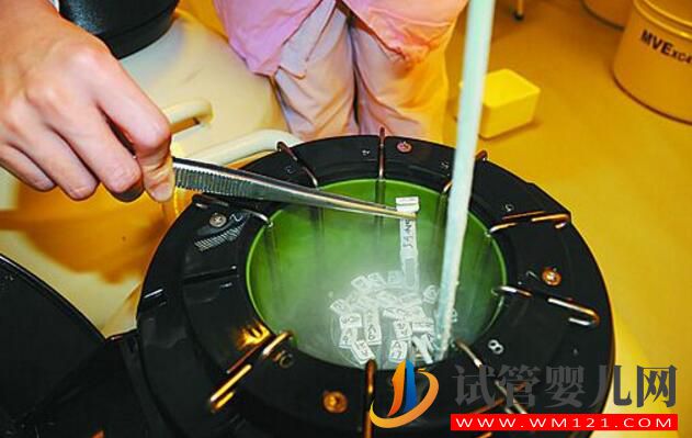試管嬰兒常見錯誤認知大集合 你對了嗎(圖4) 試管嬰兒常見錯誤認知大集合 你對了嗎(圖4)