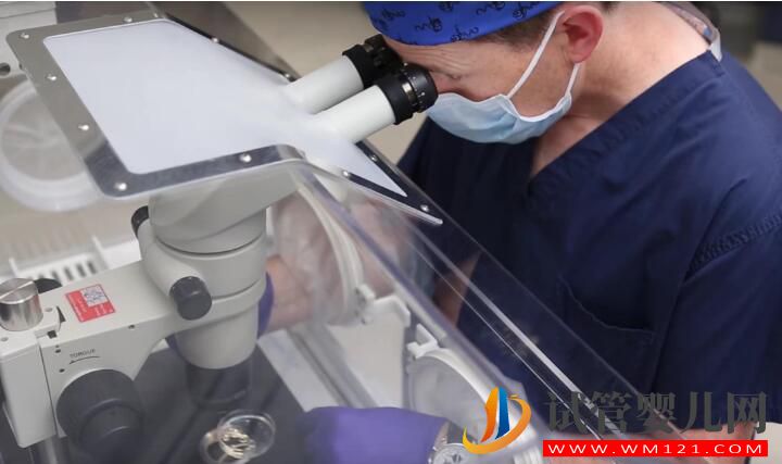 試管嬰兒常見錯誤認知大集合 你對了嗎(圖3) 試管嬰兒常見錯誤認知大集合 你對了嗎(圖3)