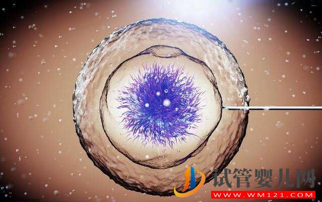 試管嬰兒胚胎移植的窗口期如何通過指標去判斷(圖1) 試管嬰兒胚胎移植的窗口期如何通過指標去判斷(圖1)