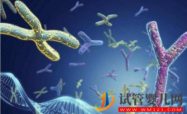 泌乳素高會影響做試管嬰兒嗎?如何比較好?(圖2) 泌乳素高會影響做試管嬰兒嗎?如何比較好?(圖2)