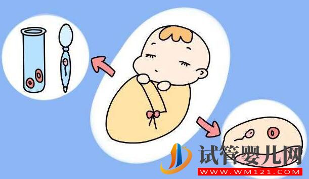 試管嬰兒是在哪里長大的?是在試管里長大的嗎?(圖4) 試管嬰兒是在哪里長大的?是在試管里長大的嗎?(圖4)