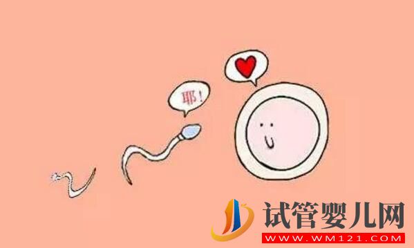 高齡生育你需要知道關(guān)于影響卵泡質(zhì)量的因素(圖2) 高齡生育你需要知道關(guān)于影響卵泡質(zhì)量的因素(圖2)
