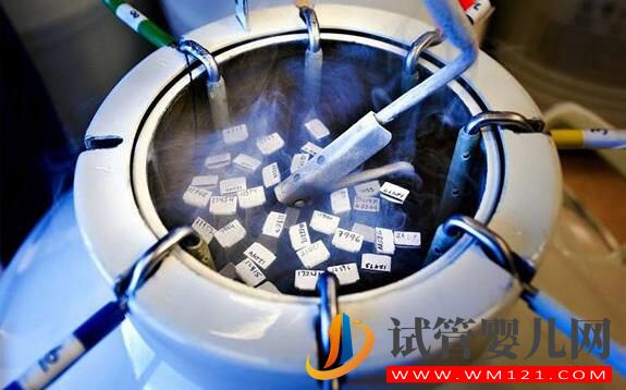 阿里試管嬰兒凍胚移植比鮮胚移植的成功率要高嗎?(圖1)