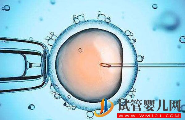 做試管嬰兒的全部流程和費用 全部做完要多長時間(圖1) 做試管嬰兒的全部流程和費用 全部做完要多長時間(圖1)