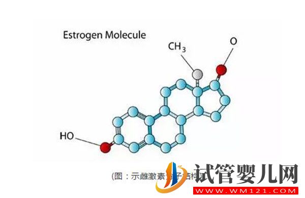 試管嬰兒進周前檢測雌激素是為什么?雌激素對于排卵進周的意義(圖1) 試管嬰兒進周前檢測雌激素是為什么?雌激素對于排卵進周的意義(圖1)