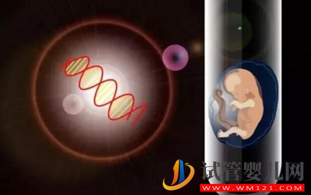 高齡備孕試管嬰兒如何提高成功率 需要做哪些調(diào)理工作(圖4) 高齡備孕試管嬰兒如何提高成功率 需要做哪些調(diào)理工作(圖4)