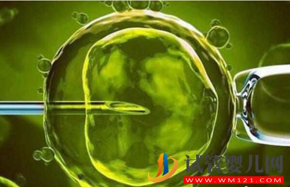 試管嬰兒防踩坑攻略分享！不要被人騙了(圖1)