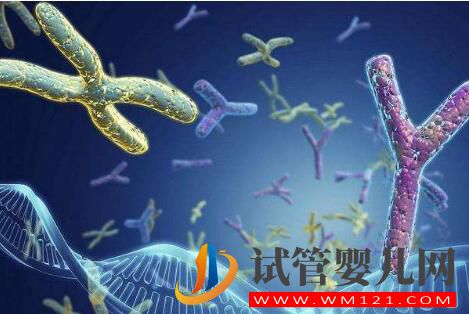 有人說試管嬰兒長(zhǎng)大后有弊端 來看看謠言是如何被攻破的(圖3) 有人說試管嬰兒長(zhǎng)大后有弊端 來看看謠言是如何被攻破的(圖3)