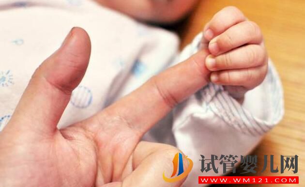 卵巢對(duì)于試管成功率有多大的影響?分娩時(shí)哪種方式更安全?(圖1) 卵巢對(duì)于試管成功率有多大的影響?分娩時(shí)哪種方式更安全?(圖1)