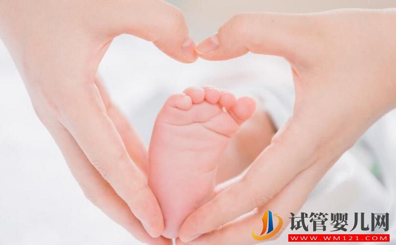 卵巢對(duì)于試管成功率有多大的影響?分娩時(shí)哪種方式更安全?(圖2) 卵巢對(duì)于試管成功率有多大的影響?分娩時(shí)哪種方式更安全?(圖2)