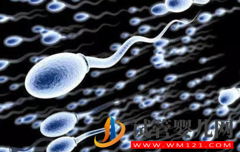 月經不調是怎么引起的?我們應該如何進行調理?(圖3) 月經不調是怎么引起的?我們應該如何進行調理?(圖3)