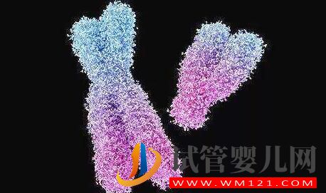 男性染色體異常有沒有什么辦法？能否進行人工授精？(圖3)