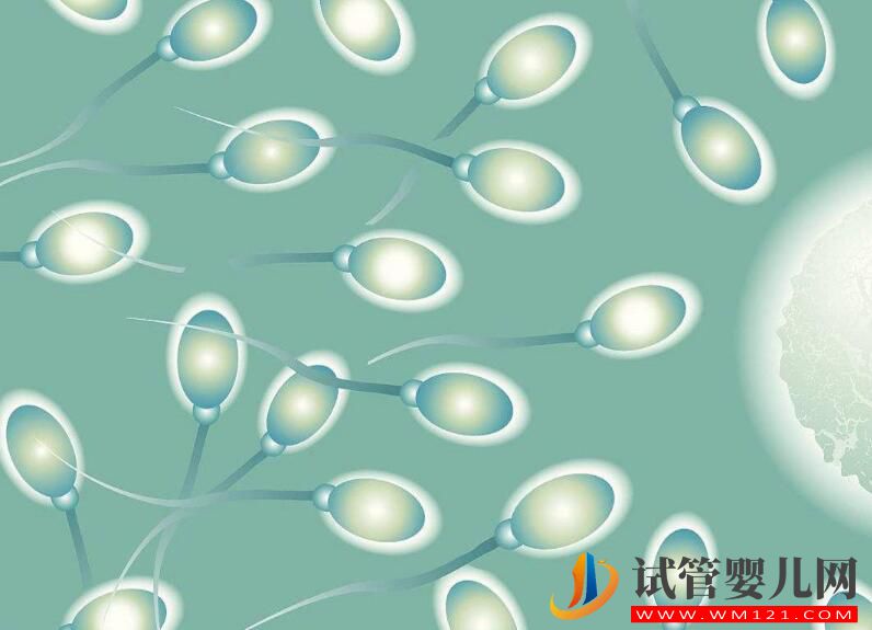 試管前的精液檢查有什么需要注意的？染色體缺失有影響嗎？(圖2)