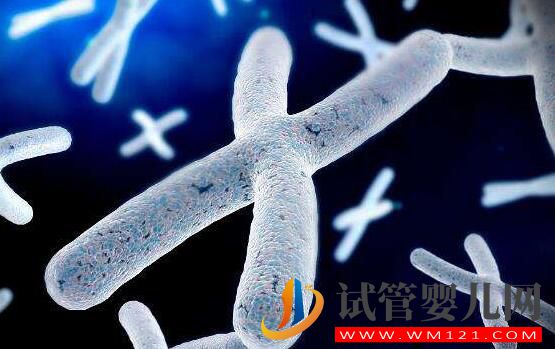 試管前的精液檢查有什么需要注意的？染色體缺失有影響嗎？(圖3)