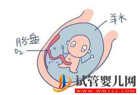 羊水的秘密你知道嗎？帶您了解女性的生育奧秘！(圖2)