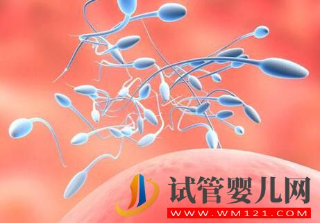 為什么男性精子問題頻出？平時作息良好也難避免？(圖2)