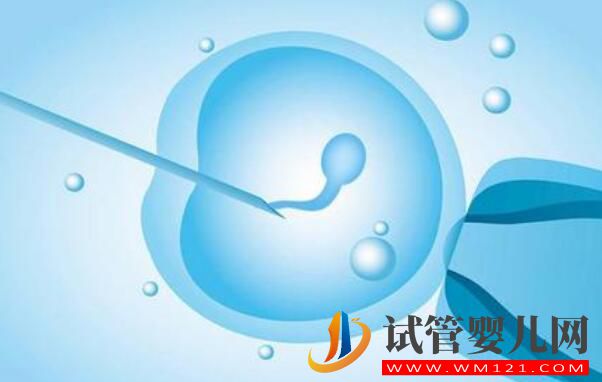 反復流產的原因都有哪些?應該做什么檢查?(圖2) 反復流產的原因都有哪些?應該做什么檢查?(圖2)