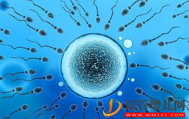 為什么試管的費用會因人而異?如何減少做試管的花費?(圖3) 為什么試管的費用會因人而異?如何減少做試管的花費?(圖3)
