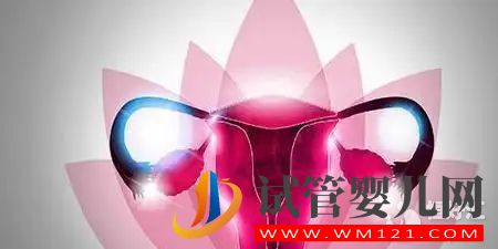 子宮疾病 當(dāng)身體發(fā)出這些信號(hào)時(shí),要留意子宮問題了(圖2)