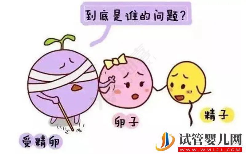 卵子質量 試管嬰兒卵子質量真的沒有辦法提升嗎?(圖1)
