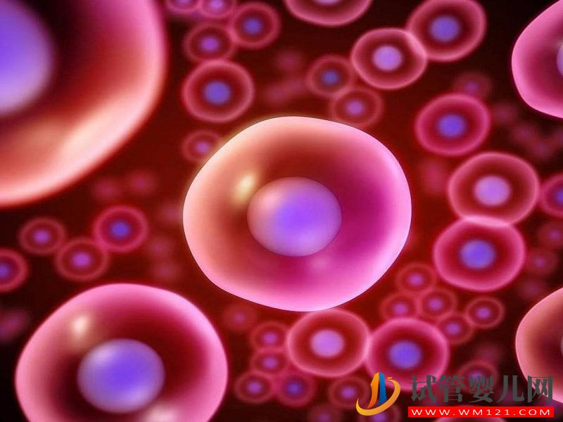 試管嬰兒好孕技巧分享，單角子宮也可懷上雙胞胎(圖2)