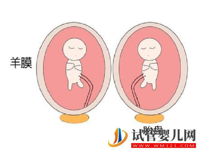 雙胎6個(gè)月時(shí)一胎停育，另一胎是安全的嗎？(圖1)