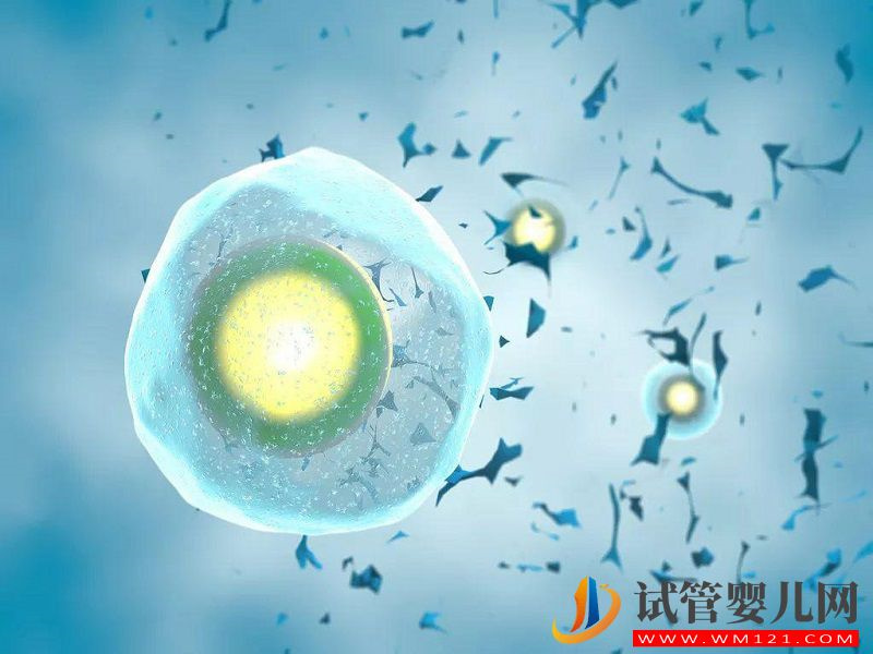 凍卵不是人人都能做，只有這三類(lèi)人才符合條件(圖1)