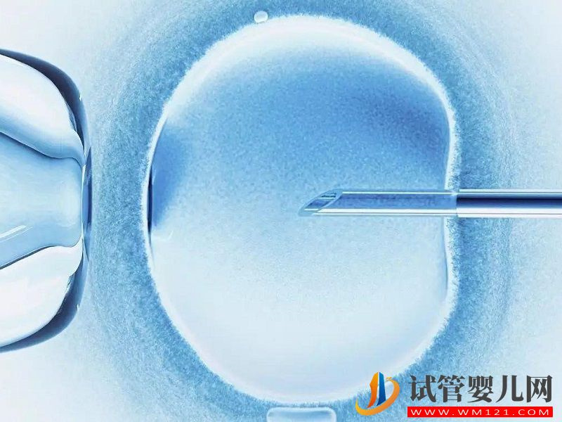 凍卵不是人人都能做，只有這三類(lèi)人才符合條件(圖2)