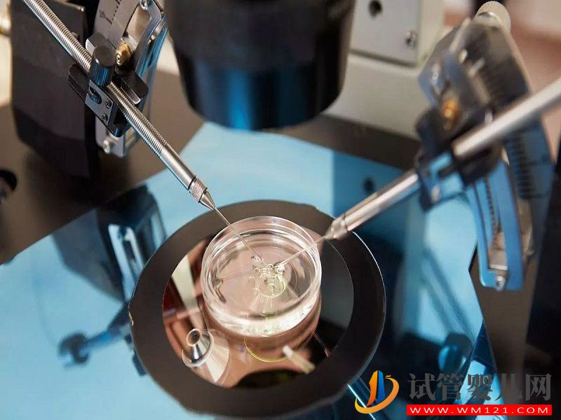 美國凍卵醫院費用要備足，提前了解三大流程更容易成功(圖1)