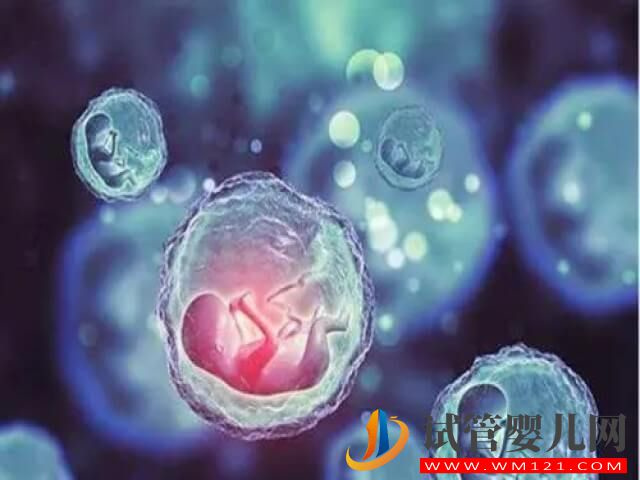 國內凍卵解凍復蘇的成活幾率大概是多少？(圖1)