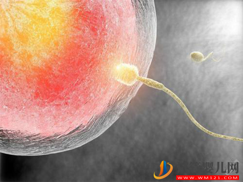 超長(zhǎng)方案降調(diào)多久才能促排，還得看女性卵泡發(fā)育情況(圖3)