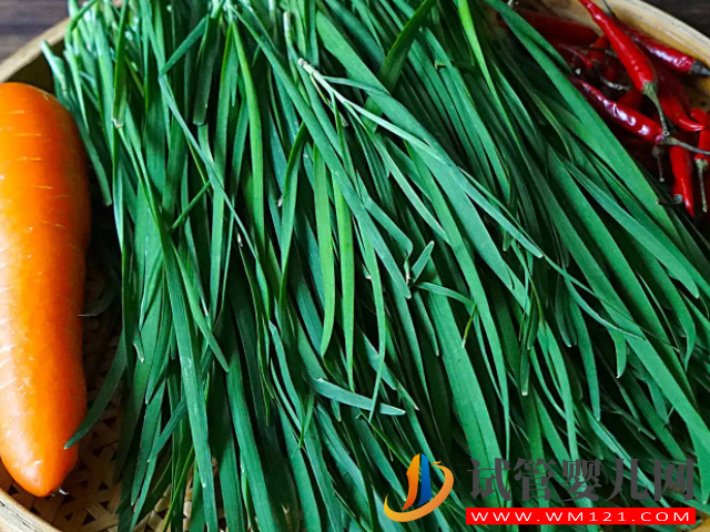 這5種東西越吃產(chǎn)生的精子量就越多，簡直是弱少精患者的福音(圖2)