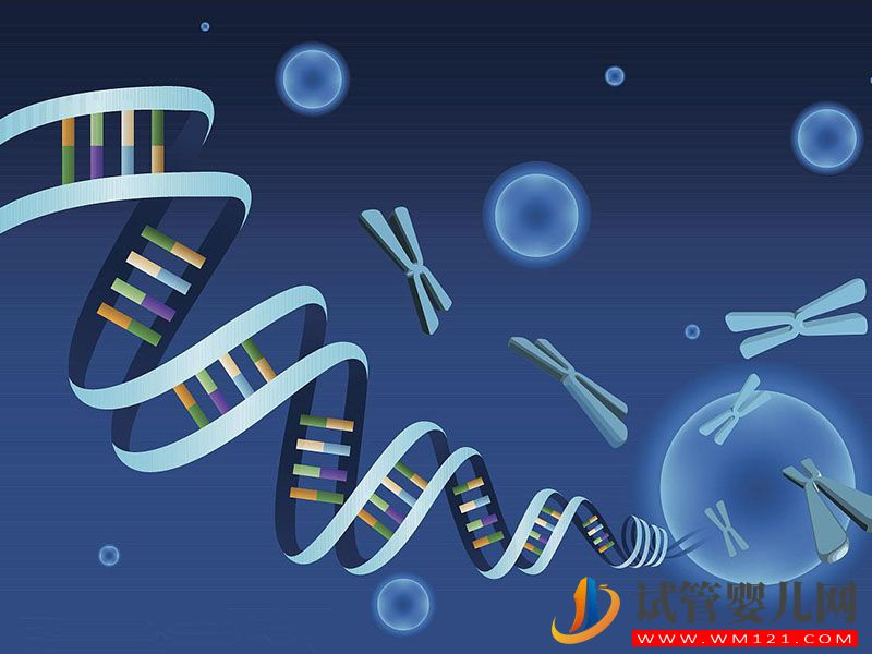 染色體易位做試管的成功率有多大，專家提醒不足50%(圖2)