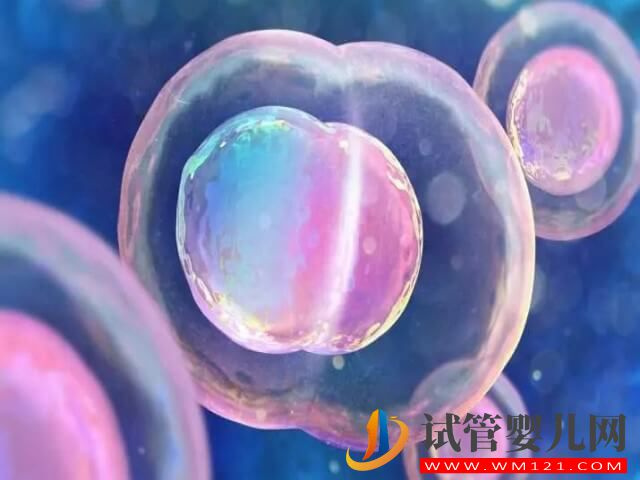 卵泡發育慢做試管嬰兒用什么促排卵方案好？(圖1)