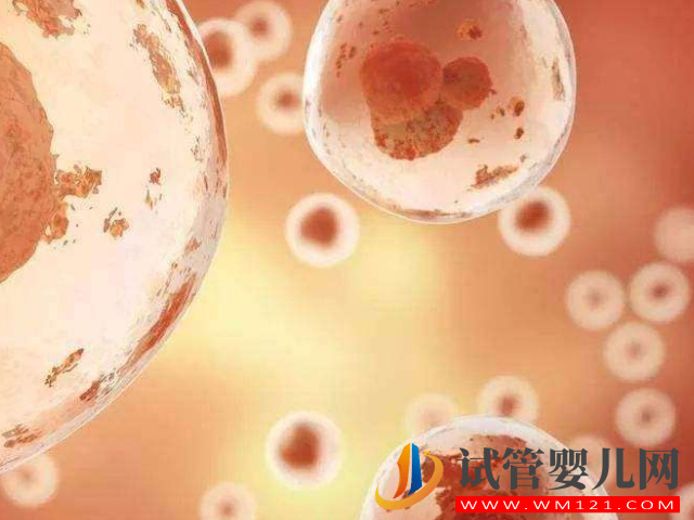 試管攢胚胎和移植先后順序盤點，看完其中緣由就知怎么選擇(圖2)
