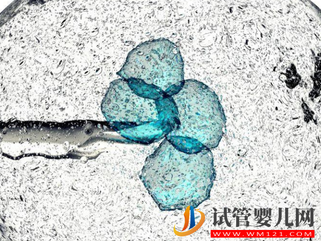 試管攢胚胎和移植先后順序盤點，看完其中緣由就知怎么選擇(圖1)