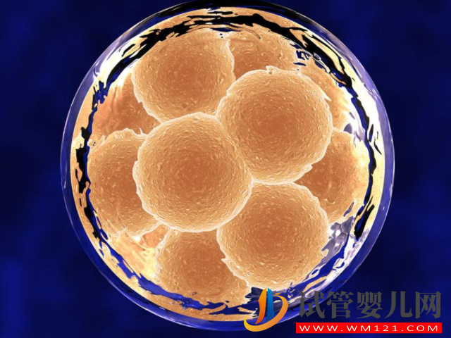 試管攢胚胎和移植先后順序盤點，看完其中緣由就知怎么選擇(圖3)