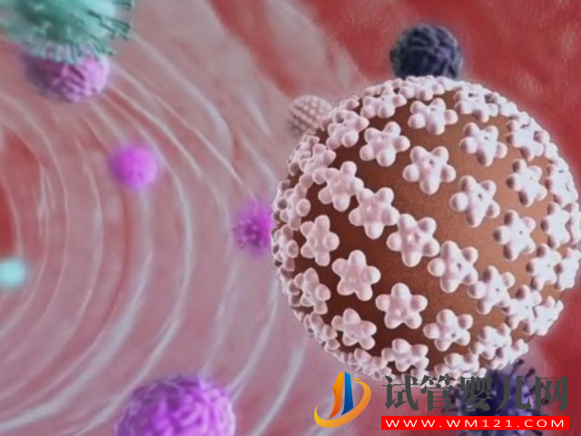 男性女性梅毒10種自測方法分享,有這些癥狀千萬得小心(圖1) 男性女性梅毒10種自測方法分享,有這些癥狀千萬得小心(圖1)