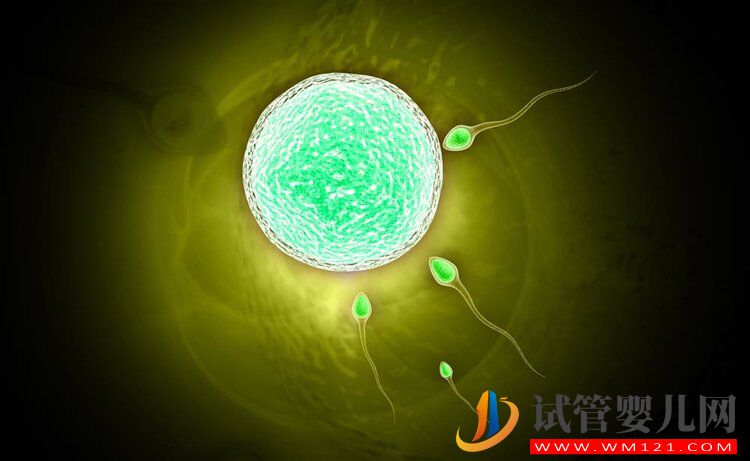 為什么親生孩子會長得像前男友？(圖4)