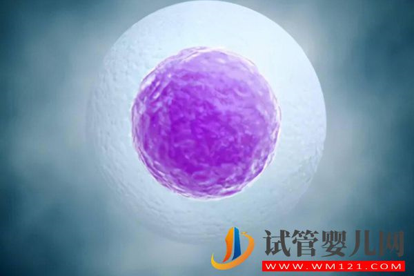 別糾結試管取卵一般取幾個比較好，只獲取6個數量并不算少(圖2)