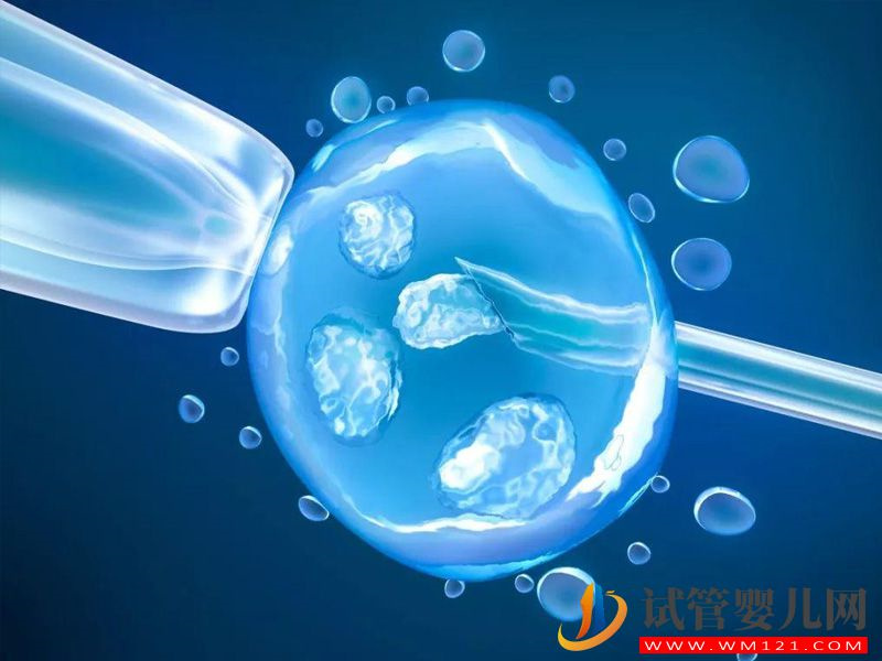 鄭州的助孕機構(gòu)公司哪家比較靠譜？(圖1)