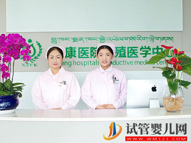 西藏哪家醫院可以做試管嬰兒？(圖1)