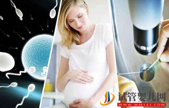 試管嬰兒一次成功的幾率有多少？情緒的好壞對成功率會不會有決定性的影響？(圖1)