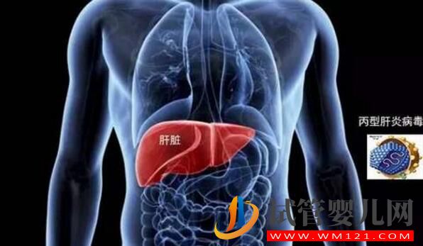 試管嬰兒前期檢查項(xiàng)目報(bào)告你看的懂嗎？看完就會了(圖6)