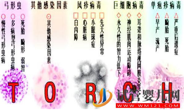 試管嬰兒前期檢查項(xiàng)目報(bào)告你看的懂嗎？看完就會了(圖7)