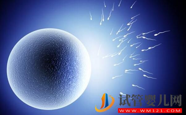 無精癥可以做試管嬰兒?jiǎn)幔繉?duì)無精癥的誤解有哪些(圖1) 無精癥可以做試管嬰兒?jiǎn)幔繉?duì)無精癥的誤解有哪些(圖1)